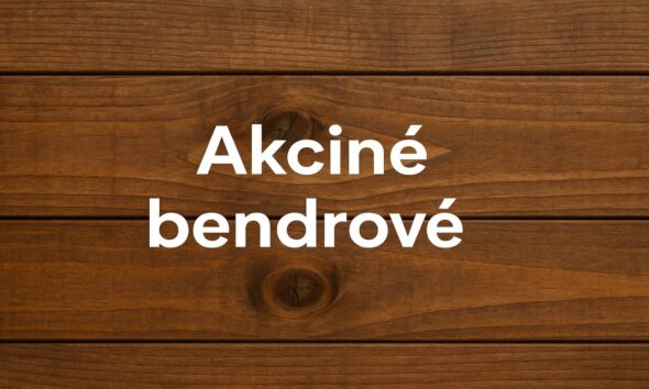 Akcinė Bendrovė
