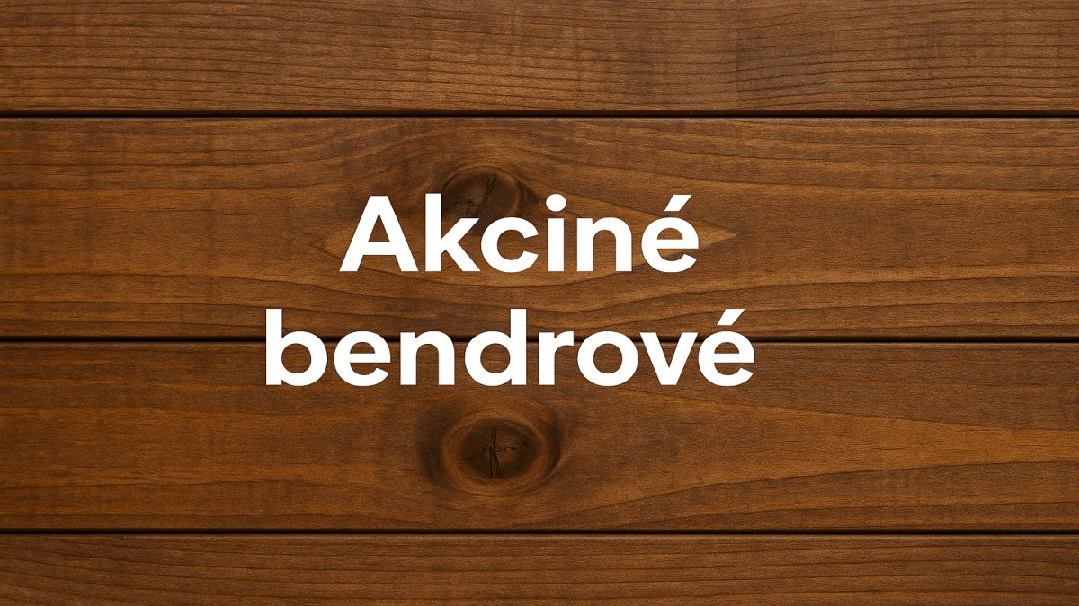 Akcinė Bendrovė