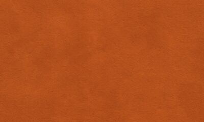 Rough Orange