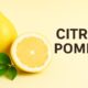 Citric Pomelo