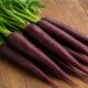 Black Carrot