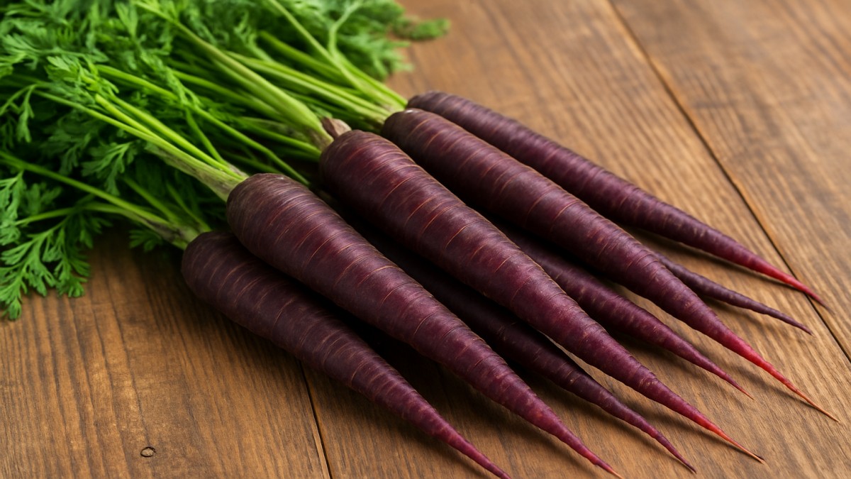 Black Carrot
