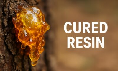 Cured Resin