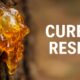 Cured Resin