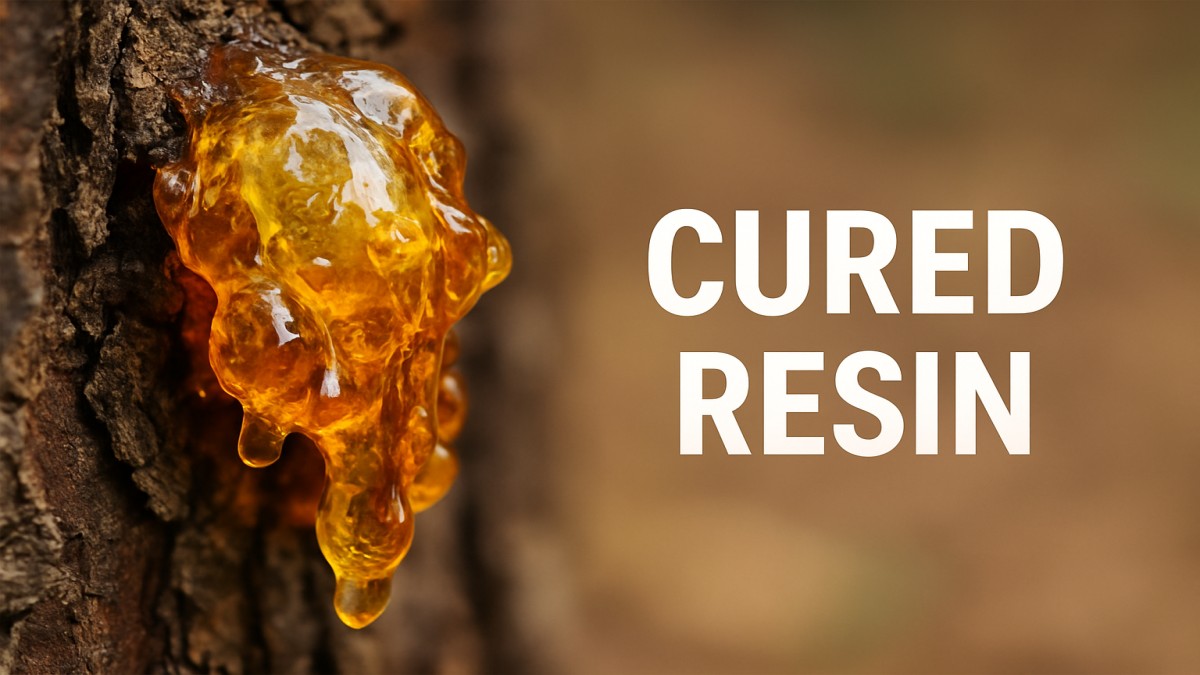 Cured Resin