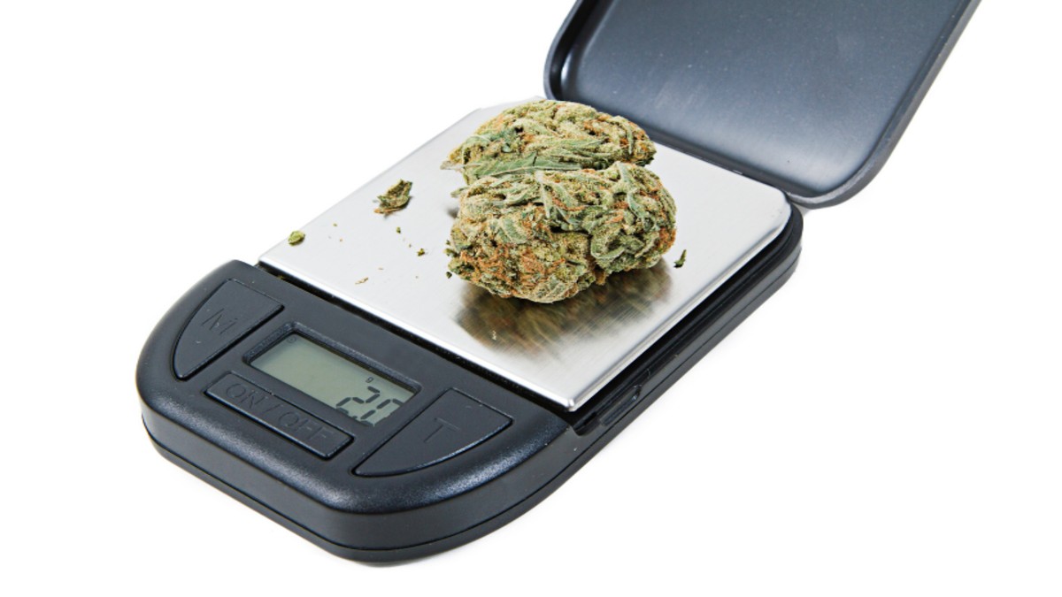 How Many Grams Is a Quarter