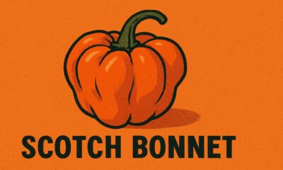 Scotch Bonnet Pepper