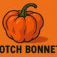 Scotch Bonnet Pepper
