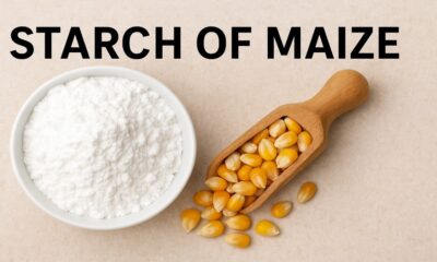 Starch of Maize