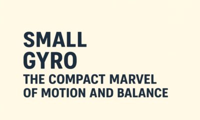 Small Gyro