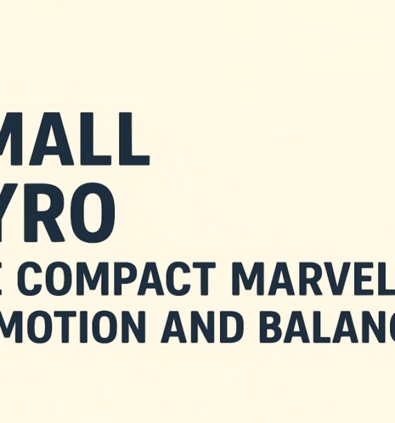 Small Gyro