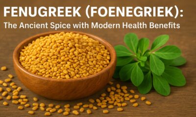 Foenegriek
