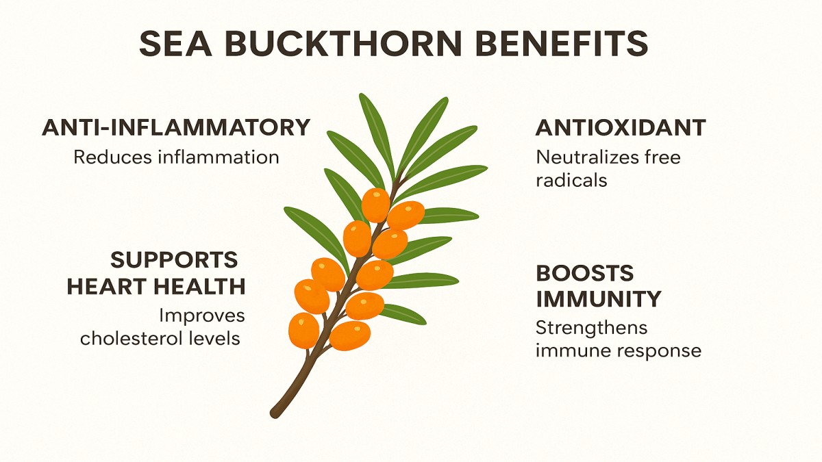 Sea Buckthorn Benefits